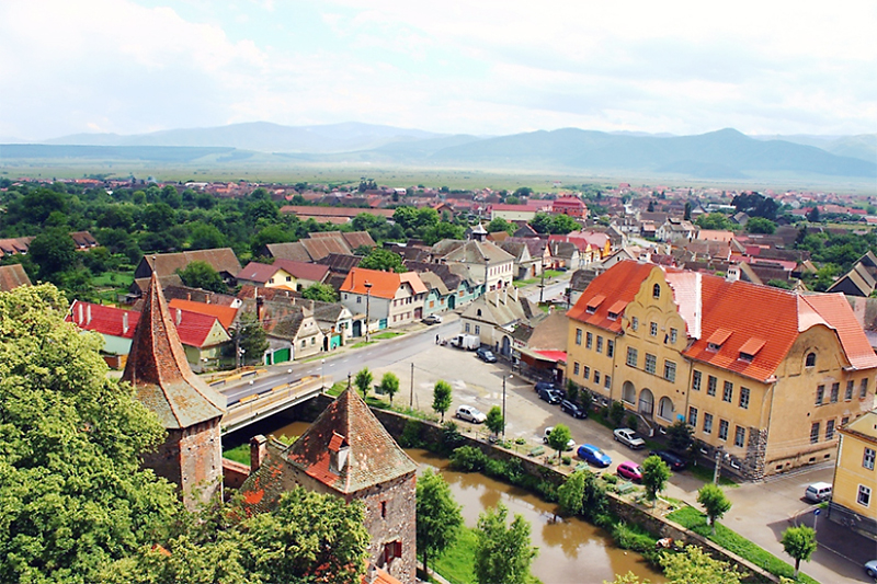 Pensiunea Paulownia Europa  – gazda perfectă